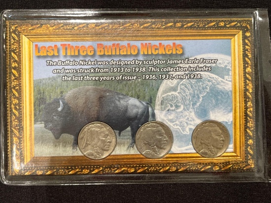 1936-1938 Buffalo Nickels Set