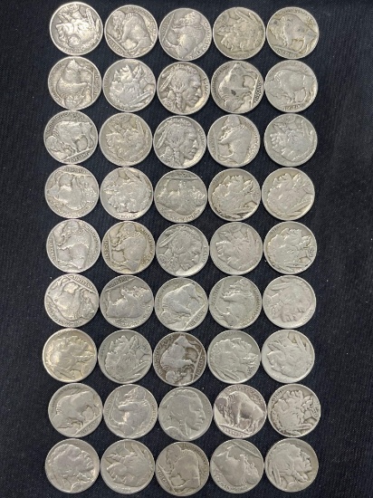 (45) Various Buffalo Nickels