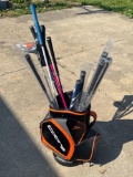 Assorted Youth Golf Clubs with Cobra Bag
