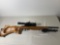 Ruger 10/22 with Laminate Thumb Hole stock