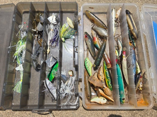 Crank baits, buzz baits