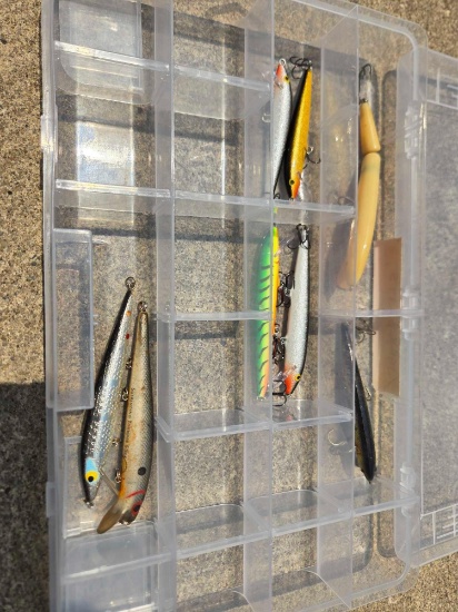 Jerk baits