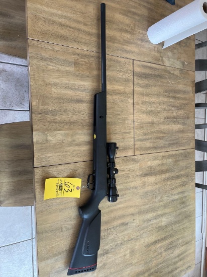 Gamo Varmint Velocity.177 cal. pellet gun