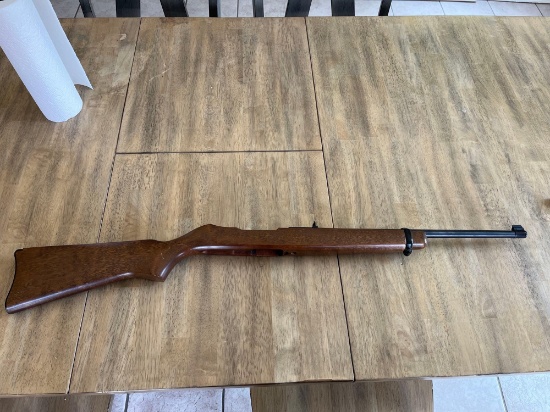 Ruger 10/22 Stock and Barrel