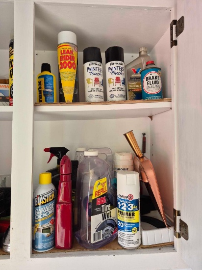 Garage Cabinet Contents - Lawn Care Items, Battery Tenders, Care Care Items, & more