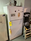 Upright fridge and freezer