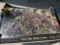 Assortment of Large Posters