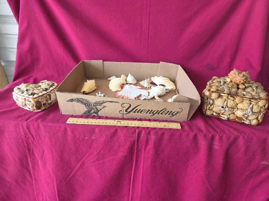 Shell Shell Boxes, Shells