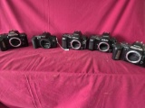 5 cameras, Nikon and Canon