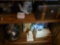 Contents Behind Bar,