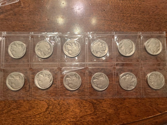 (12) Buffalo Nickels, Bid x 12