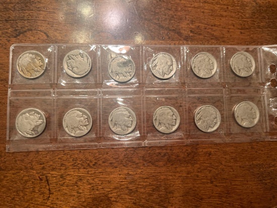 (12) Buffalo Nickels, Bid x 12