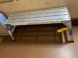 Werner Platform Ladder