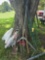 Shovel, Rack, Spud bar, Yard Tools
