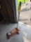 Floor Jack