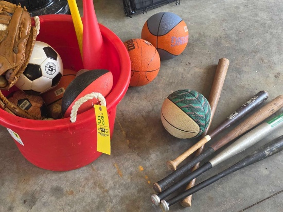 Balls, bats and tube