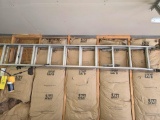 18 Ft Ext Ladder Bent Leg Werner