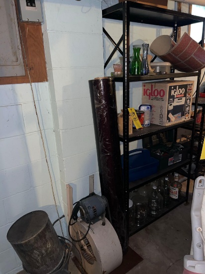 Shelf and Contents