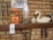 Swan, birdhouse, decor
