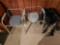 Potty chairs, wheelchair