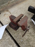 Small vice