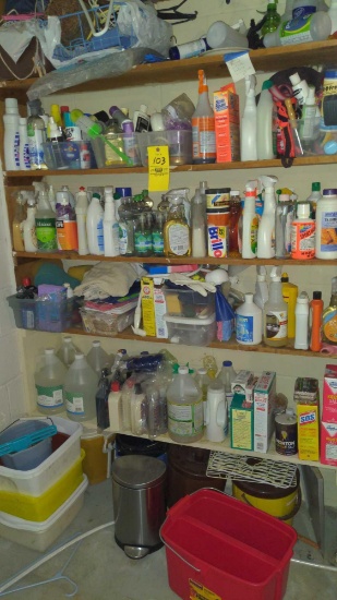 Contents of Laundry room shelf