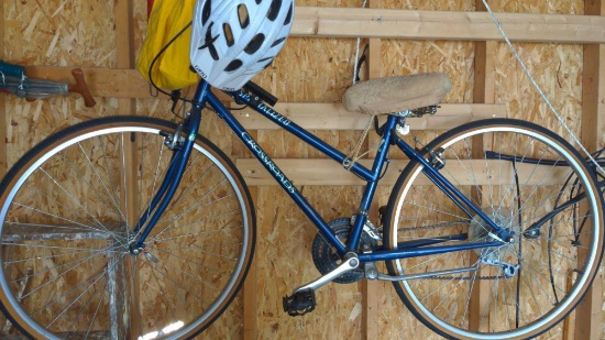 Crossroads Cruz Ladies Bicycle & ladders