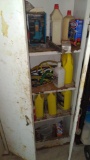 Metal cabinet in garage with contents