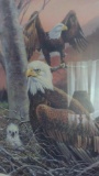 (2) wall mirrors & R.J. McDonald Framed Eagle print