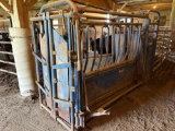 preifert squeeze chute with palpation cage