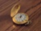 Lucerne 17 Jewel Pocketwatch