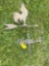 rooster weather vane top