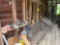 Large clean out lot, misc lumber and plywood