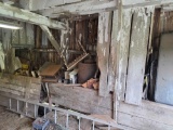 Glass, Wood Items, Ladder