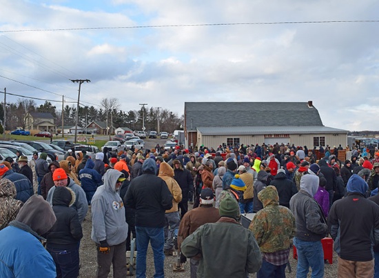 22nd Fall County Consignment - 24526 - Matt K