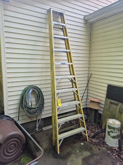 Werner 10 Ft. Fiberglass Ladder