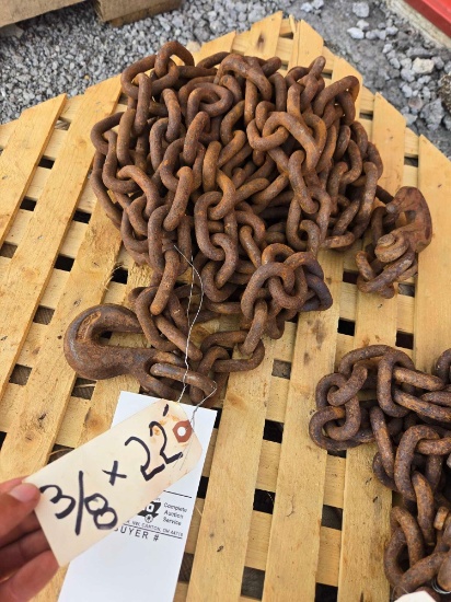 3/8 22ft chain