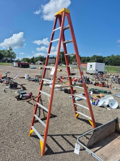 Werner 12 Ft. Fiberglass Ladder