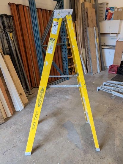 Werner 6 Foot Fiberglass Step Ladder