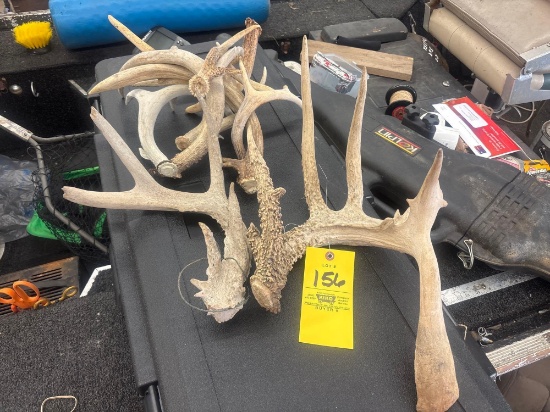 Antler sheds