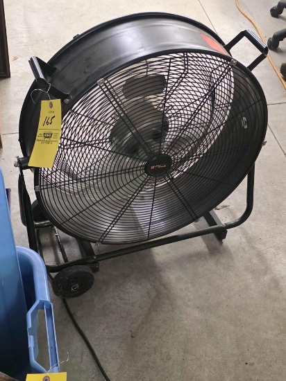 Fan