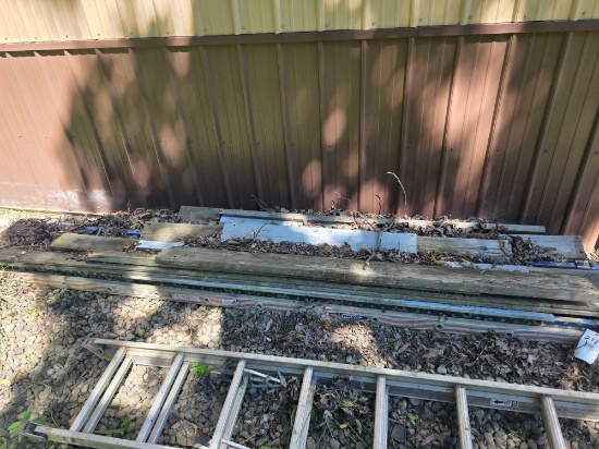 22 Step Warner Ext Ladder Lumber