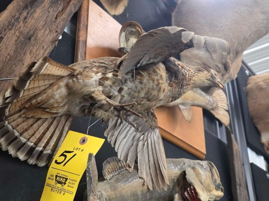 Grouse Mount
