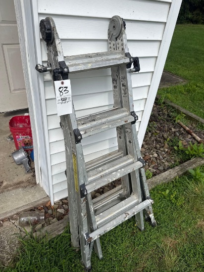 extendable step ladder