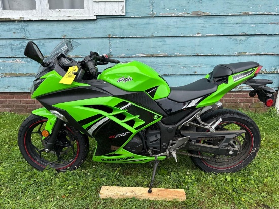 2014 Kawasaki EX300 Special Edition Ninja Motorcycle