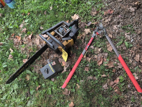 McCulloch eager beaver chain saw and pruner