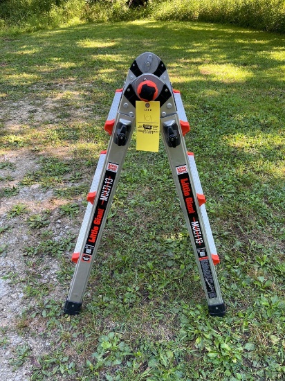 New Little Giant Multi 13