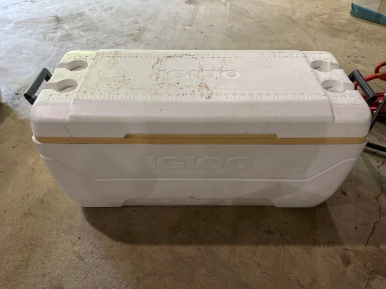 Igloo Cooler