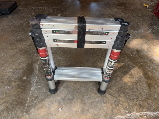 Telescopic Ladder