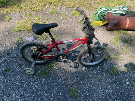 Major Damage Magna Bicycle & Vintage Skyway bicycle